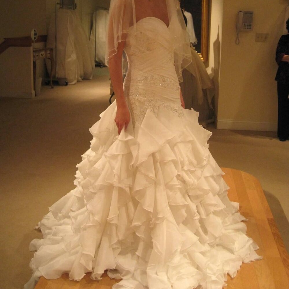Stefan Jolie Organza and Lace Wedding Dress - Drop Waist with Ruffled Skirt